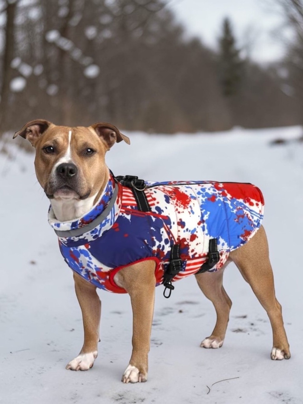 Dogcheer Patriotic Dog Coat w/ Harness Medium 🇺🇸🐾
